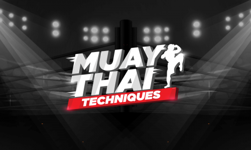 	Muaythai Techniques